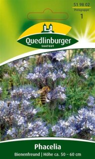 Phacelia Bienenfreund