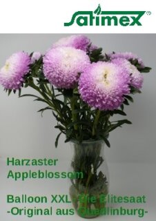 Balloon Harzaster XXL Apleblossom