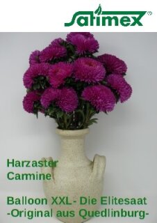 Balloon Harzaster XXL Carmine