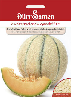 Zuckermelone Gandalf F1