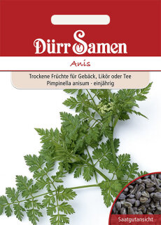 Anis