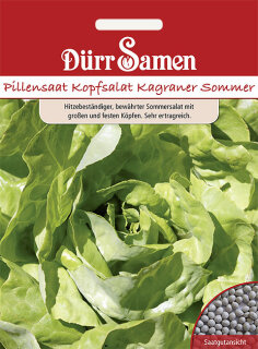 Kopfsalat Kagraner Sommer Pillensaat