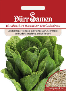 Bindesalat Kasseler Str&uuml;nkchen