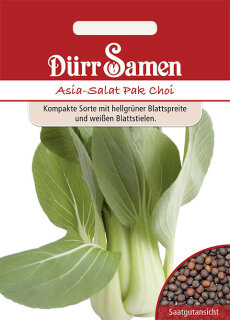 Asia Salat Pak Choi