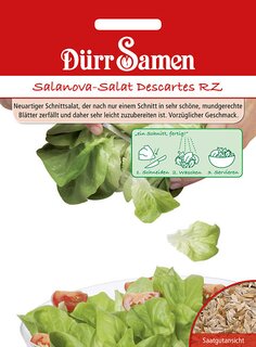 Salanova Salat Descartes Schnittsalat