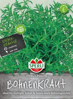 Bohnenkraut Pikanta