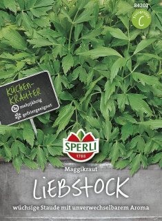 Liebstock Maggikraut