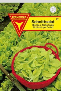 Schnittsalat,Bionda a foglia liscia