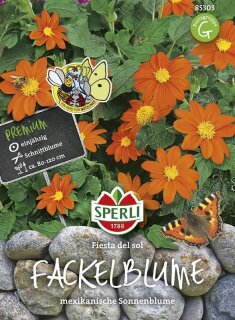 Fackelblume Fiesta del Sol