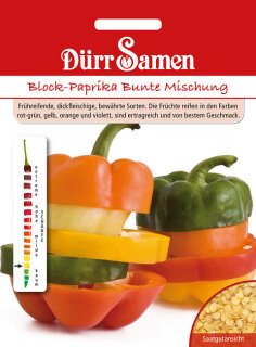 Block-Paprika Bunte Mischung