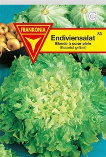 Winterendivien Blonde à coeur plein Frankonia Samen