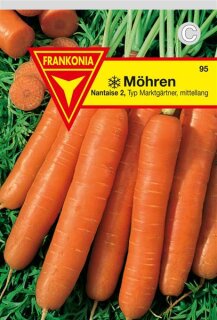 Möhre Nantaise 2