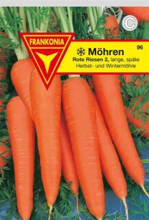 Daucus carota Samen Karotte Futtermöhre "Rote Riesen" 20.000 