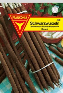 Schwarzwurzeln einjährige Frankonia Samen