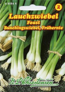 Lauchzwiebel Feast