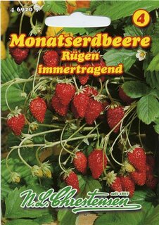 Monatserdbeeren R&uuml;gen