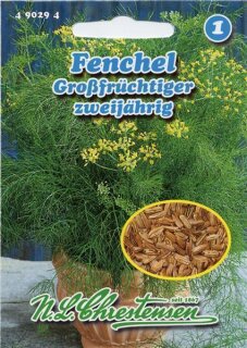 Fenchel Gro&szlig;fr&uuml;chtiger