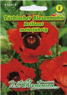 T&uuml;rkischer Riesenmohn Brillant