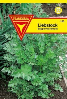 Liebstock Frankonia Samen
