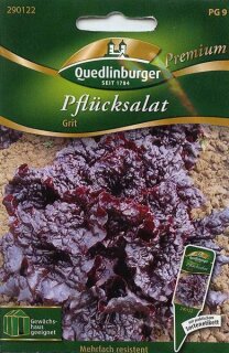 Pfl&uuml;cksalat Grit