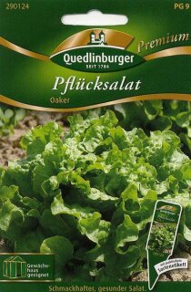 Pfl&uuml;cksalat Oaker