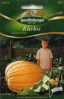 Kürbis Atlantic Giant