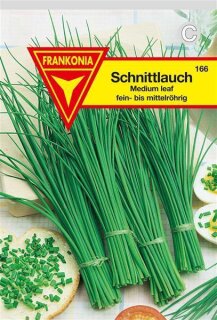 Schnittlauch Medium leaved Frankonia Samen