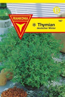 Thymian Frankonia Samen